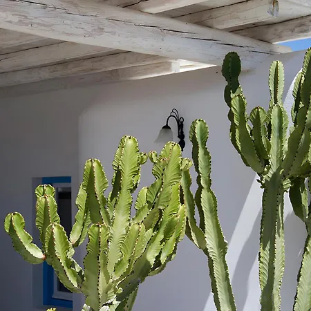 Guest house Anamar Destino 5 Stars